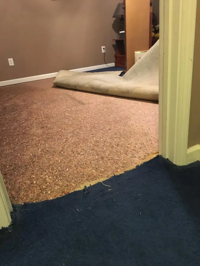 Carpet pad removal revealing water damage during Drying & Dehumidification in Palos Verdes Estates