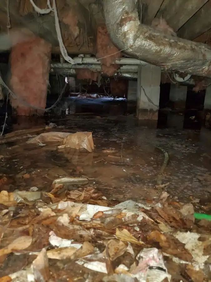 Crawl space flood assessment for Leak Detection & Repair in Palos Verdes Estates