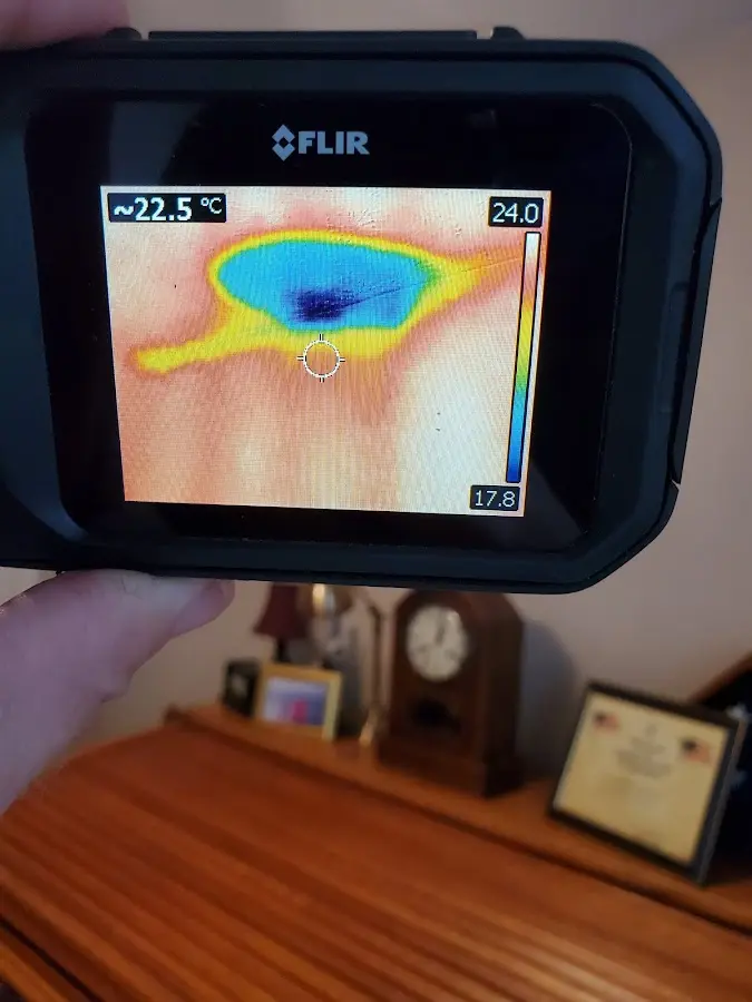 Thermal imaging inspection for water damage in Palos Verdes Estates