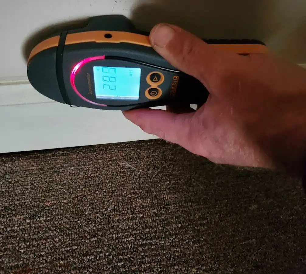Moisture detection at baseboard during Mold Inspection & Testing in Palos Verdes Estates
